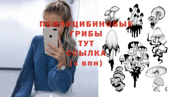 дурь Балахна